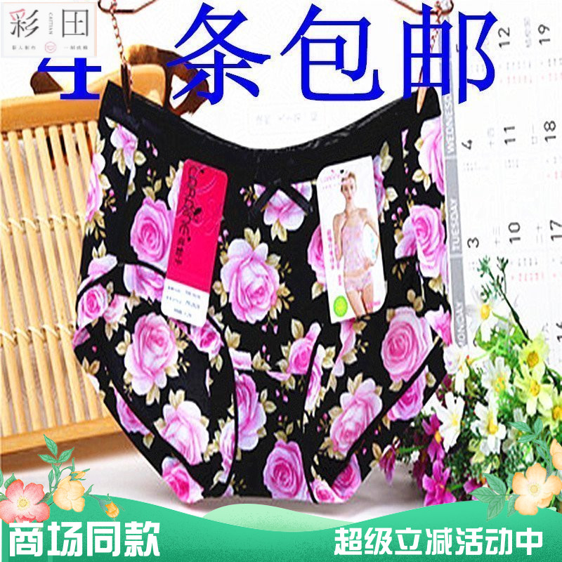 包邮花仙子低腰pe2628女高腰内裤