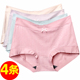 3条装 彩田内裤 女31618中腰31619高腰提花纯色莫代尔棉包臀素雅厚