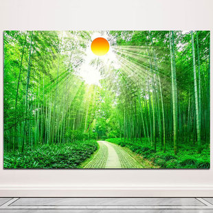 富贵竹竹林阳光林荫小道节节高竹子风景画绿色护眼图竹报平安挂画