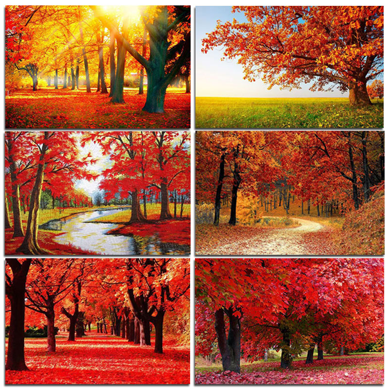 红枫树红枫叶阳光树木森林风景画鸿运当头客厅沙发背景墙装饰壁画