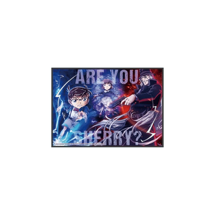 艾漫正版 余量通贩 名侦探柯南黑铁的鱼影 对决双闪色纸【现货】