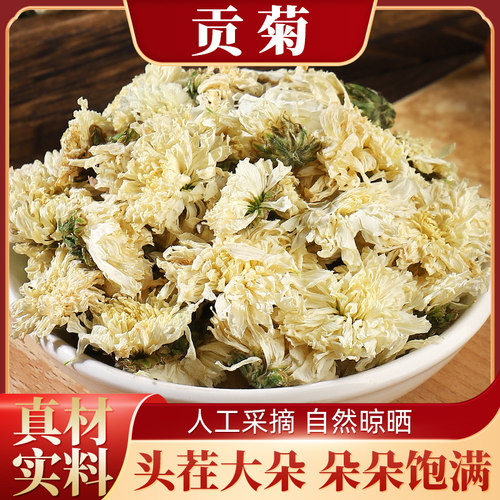 正宗产地贡菊新鲜大朵白菊花泡水喝干货菊花茶散装500g包邮