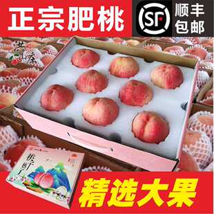 山东特产 肥城桃 脆甜桃子 新鲜现摘硬桃子当季水果8个装豪华礼