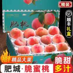 顺丰现货山东肥城桃新鲜桃子脆蜜桃脆桃当季水果 10-12枚精选礼盒