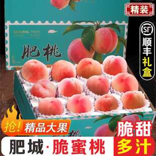 顺丰山东肥城桃新鲜桃子脆蜜桃脆桃当季水果 10-12枚精选礼盒
