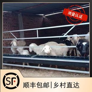 单面羊槽喂羊食槽单槽胶皮输送带可翻转喂水槽带架子翻转羊槽子