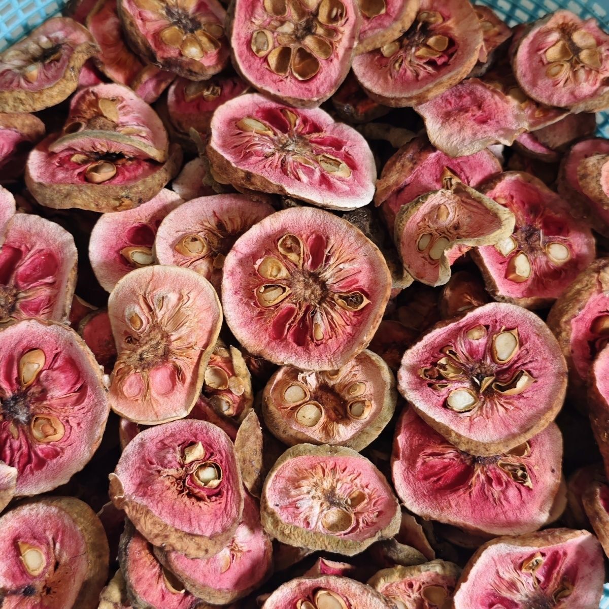 2024当季新晒桂木果干狗果干狗囊果干胭脂果片干切片晒干泡酒酸甜