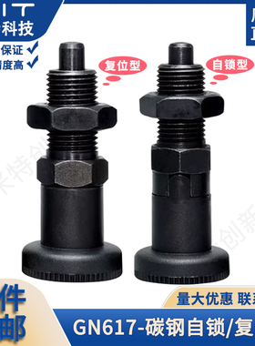 GN617冈特旋钮柱塞M10/12/16/20碳钢分度销行程柱塞MT305F/MT305Z