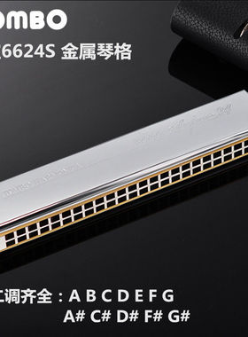 日本通宝口琴6624S金属铜格复音24孔C调成人练习专业演奏乐器