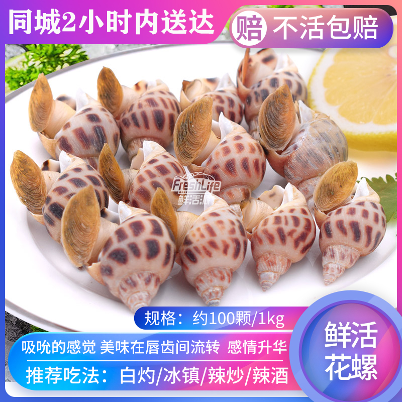 昆明店 海南深水鲜活花螺1kg/份  约100颗  东风螺海猪螺海螺香螺