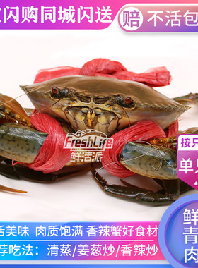 成都店同城闪送 鲜活越南青蟹肉蟹1只/份约0.5-1斤 大肉蟹包活