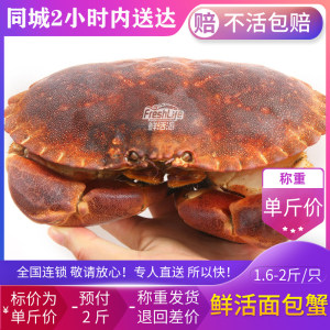长沙店鲜活面包蟹约1.6-2斤/只称重结算大黄螃蟹膏蟹之王