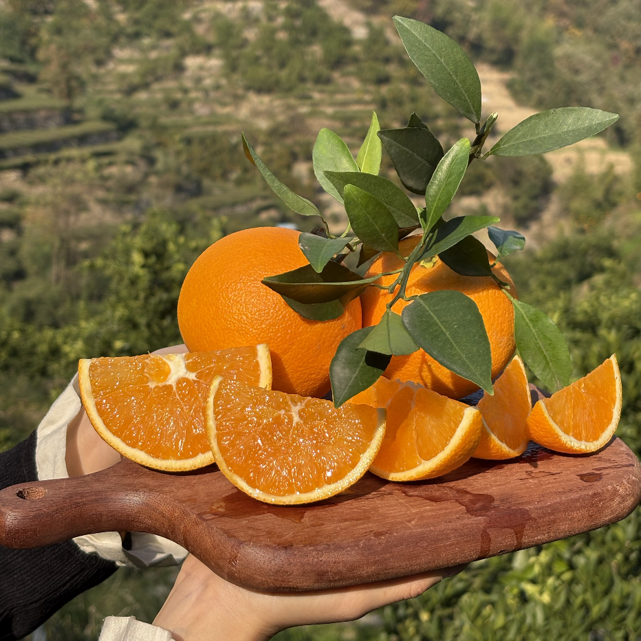 正宗赣南脐橙橙子当季水果