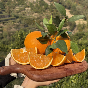 湖北秭归九月红脐橙宜昌橙子应季果冻橙鲜橙甜橙多汁新鲜水果