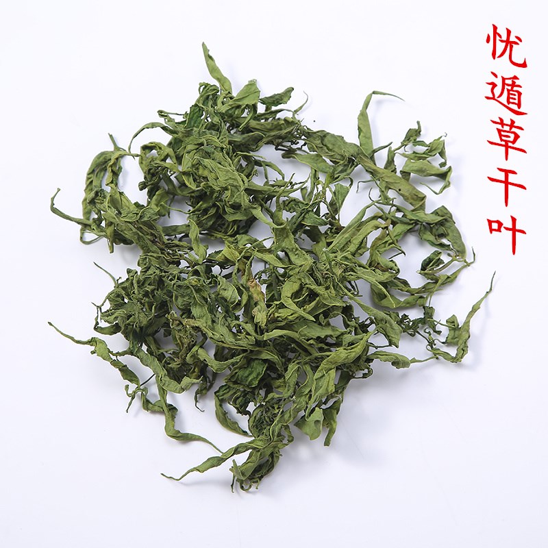 大自然忧遁草干叶忧顿草忧遁草茶优遁草粉剂鳄嘴花黎