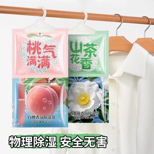 2026除湿挂包回南天梅雨季节除湿神器家用室内房间防潮防霉干燥剂