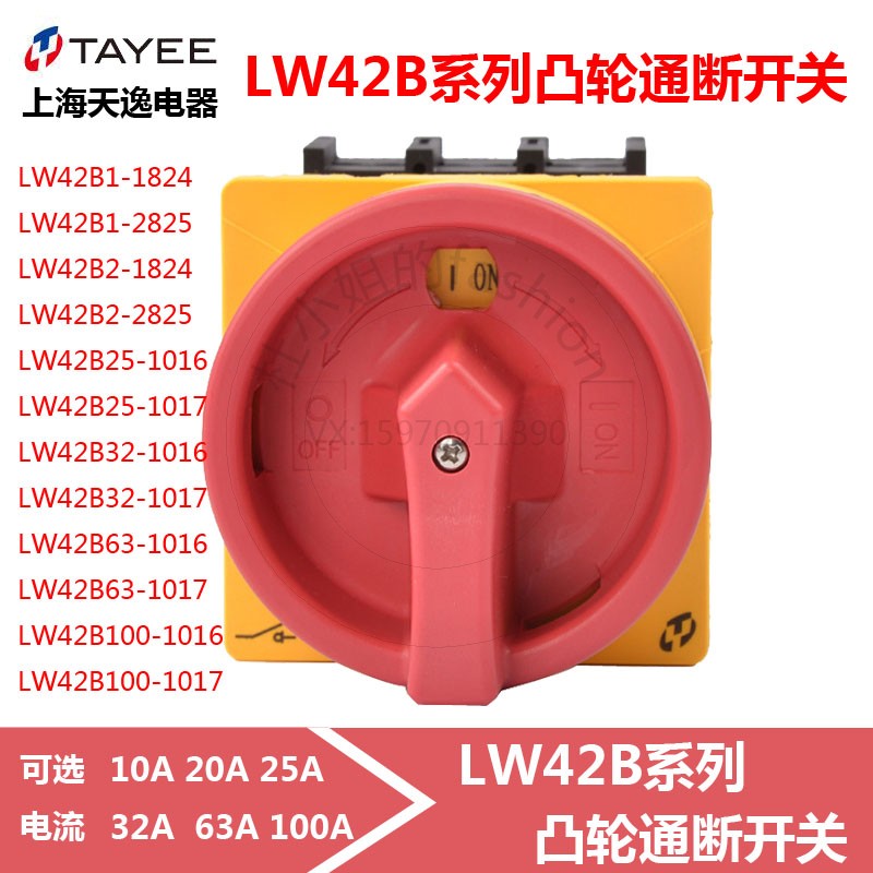 TAYEE上海天逸LW42B25通断开关