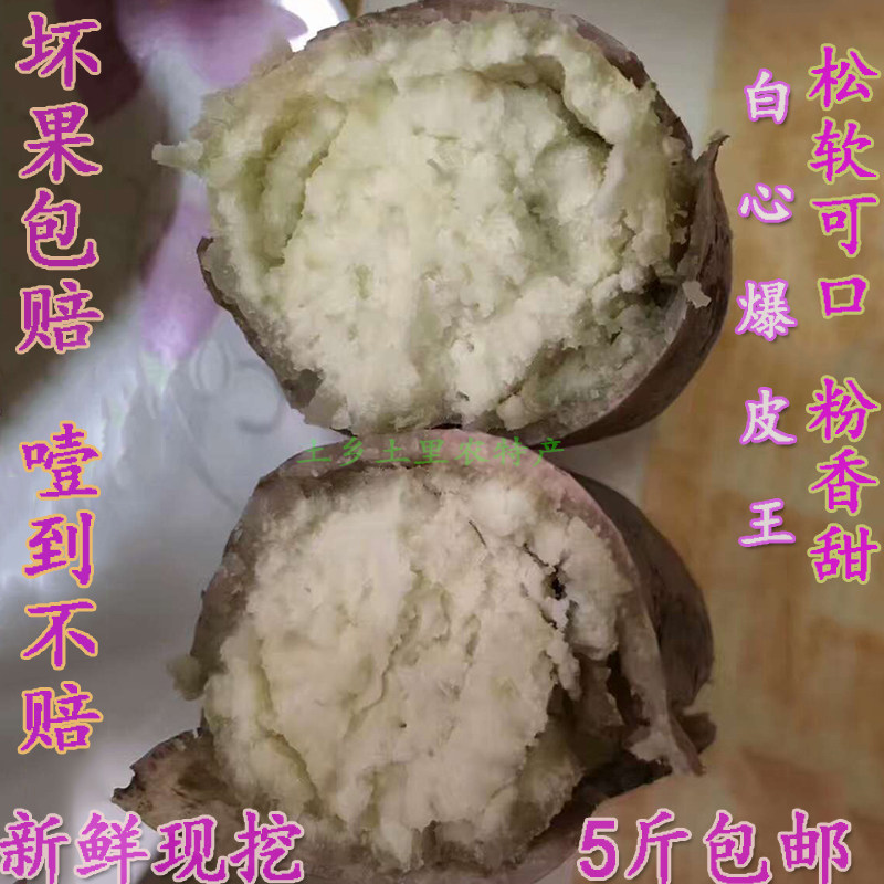 高州特产爆皮王番薯白心红薯新鲜现挖红皮白肉地瓜 香粉板栗薯5斤