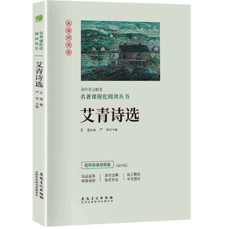 初中语文配套名著课程化阅读丛书 艾青诗选无障碍阅读九年级上册人教