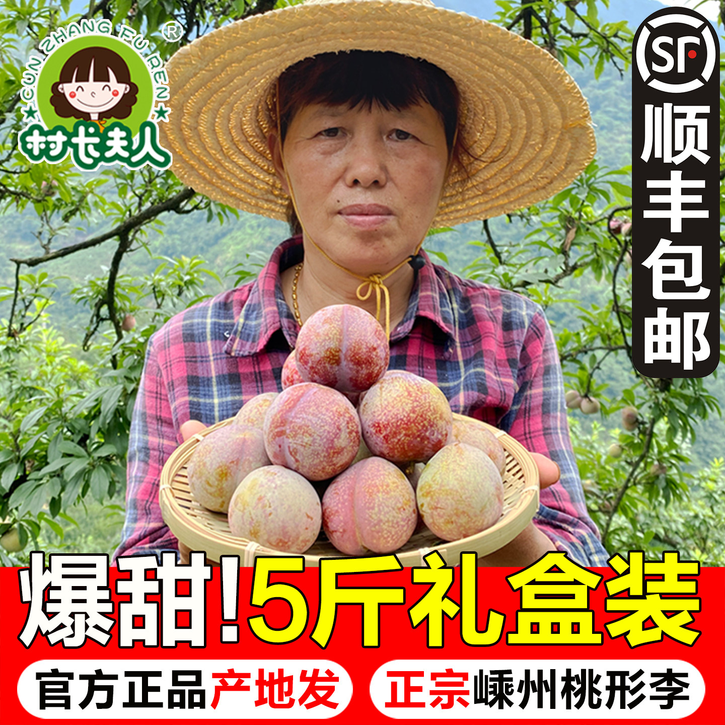 村长夫人正宗嵊州桃形李子新鲜水果浙江脆甜红心李大果5斤礼盒装
