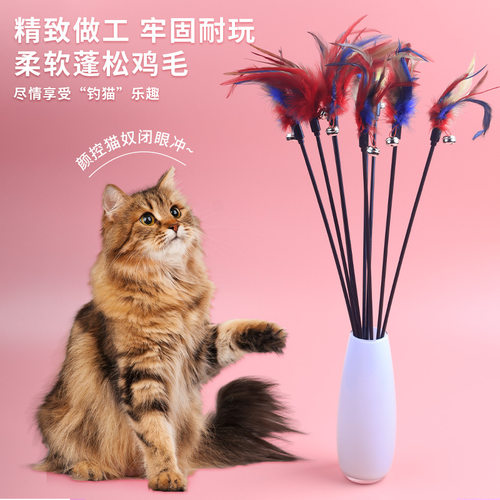 哇塞宠物宠物智能玩具一件起批