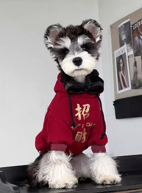 衣服狗狗冬装小型犬雪纳瑞泰迪博美过年保暖新年喜庆加绒加厚卫衣