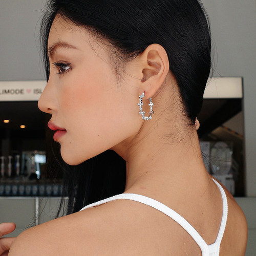 S925纯银欧美复古气质耳圈女轻奢高级感圈圈耳环2026新款爆款耳饰