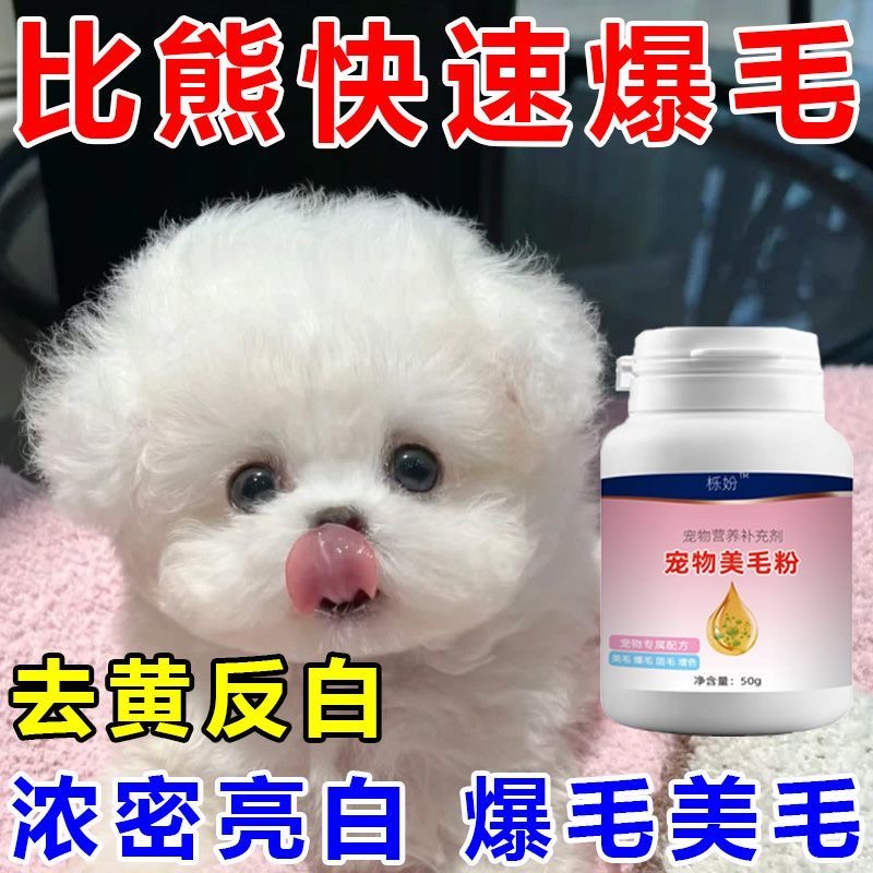 比熊美毛亮毛增色白毛宠物毛发增亮狗狗毛发营养美毛亮比熊掉毛少