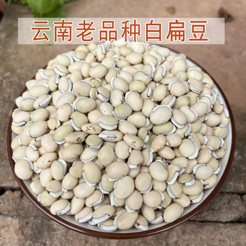 云南农家小粒药用白扁豆