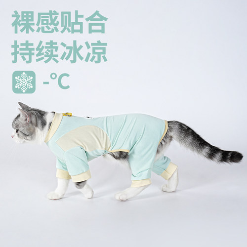 夏季猫衣服薄款防掉毛幼猫小猫透气凉感四脚衣可牵引小型犬比熊