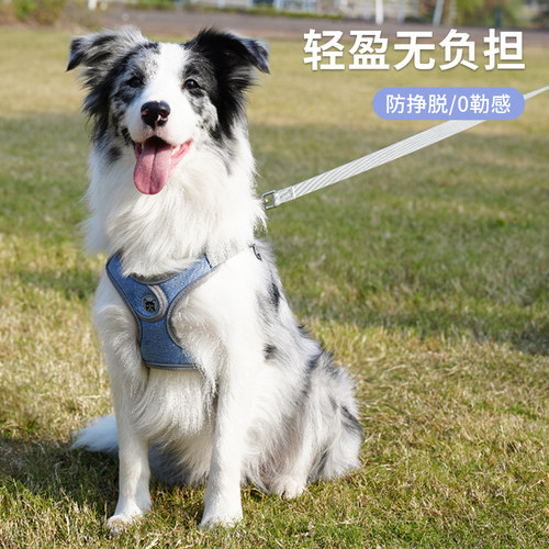 大型犬狗绳狗狗胸背背心式X型狗背带外出遛狗绳防挣脱不勒脖