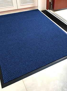 入户门蓝色地垫户外高级新款门垫门外脚垫家用办公室门口室外地毯