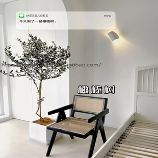 大型绿植橄榄树网红盆栽北欧室内客厅阳台除甲醛净化空气好养易活