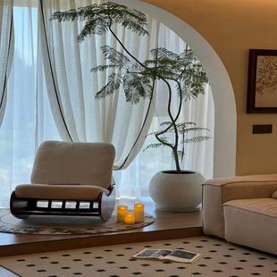 蓝花楹大型室内盆栽客厅好养绿植网红植物办公室花除甲醛净化空气