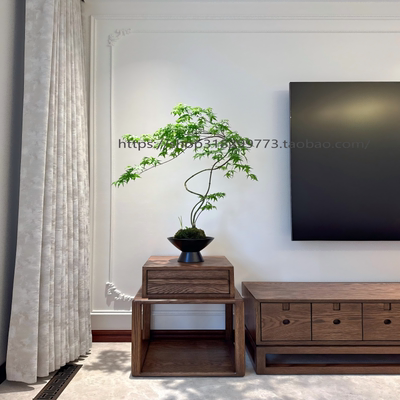 流泉枫盆栽室内客厅绿植好养造型禅意侘寂风植物日本枫树书房盆景