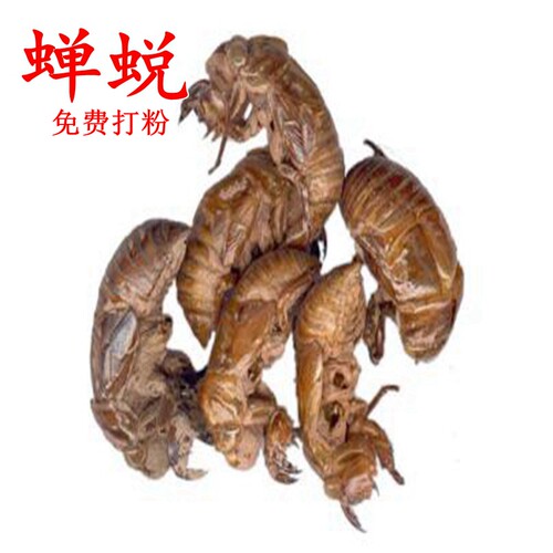 中药材蝉蜕知了皮50g蝉衣蝉壳虫包邮蜕虫退爬了猴壳金蝉衣可打粉