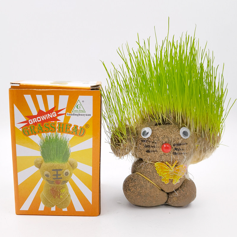 浇水草头长草娃娃抖音同款情侣可爱创意小盆栽头发头上长草的植物