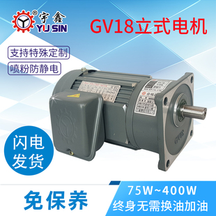 自动化机械用小减速马达 电动机 GV18轴立式 工厂供应齿轮减速电机