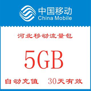 30天有效zx河北移动流量包充值5GB手机全国通用流量包不可提速