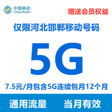 河北移动流量包充值5GB 流量包年包 赠送12个月