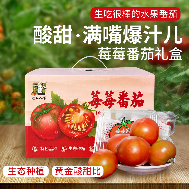 密农人家 密云莓莓番茄礼盒 黄金酸甜比生吃水果西红柿原味一号