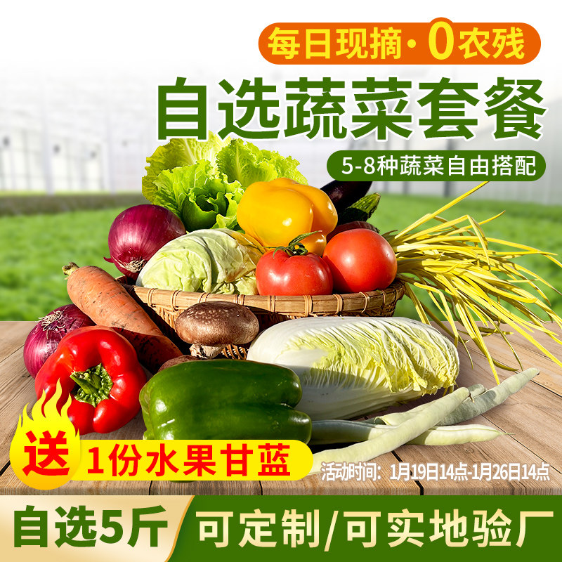 密农人家 自选5斤 蔬菜套餐 新鲜蔬菜包 农家当季 蔬菜组合 沙拉,水产肉类/新鲜蔬果/熟食,其它,淘宝优惠券,粉丝福利购,淘宝优惠卷