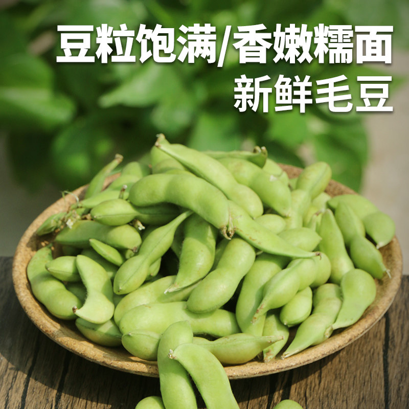 安心优选 新鲜绿毛豆500g 农家带壳青毛豆 豆粒饱满 可卤煮凉拌