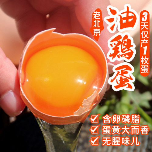 北京油鸡  林间散养  蛋黄比例高
