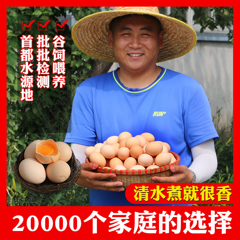 尝鲜装6枚土鸡蛋农家新鲜土鸡蛋