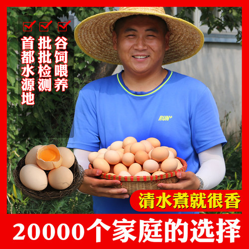 尝鲜装6枚土鸡蛋农家新鲜土鸡蛋