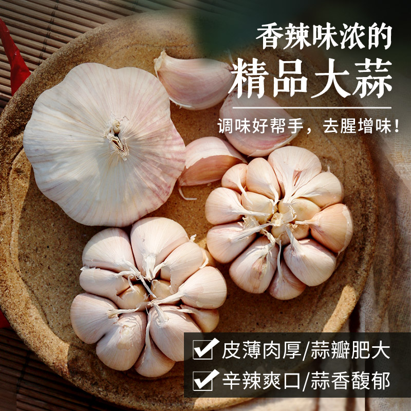 密农人家网兜装大蒜250g人工挑选