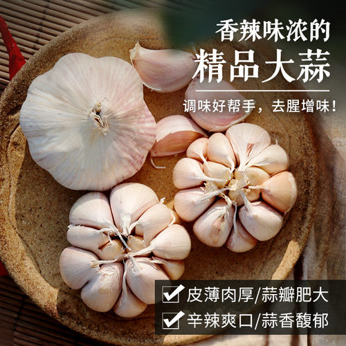 密农人家网兜装大蒜250g人工挑选
