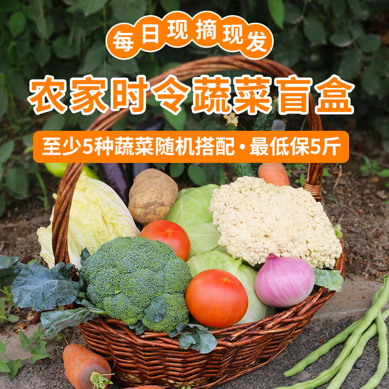 密农人家新鲜蔬菜盲盒农家菜时令应季蔬菜不低于5斤蔬菜礼包-封面