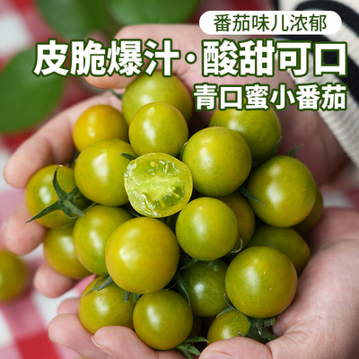 皮脆爆汁酸甜可口番茄味浓